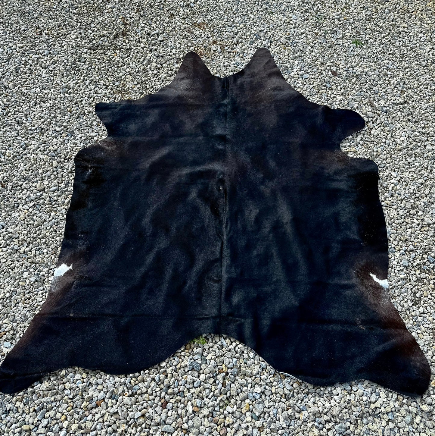 Jumbo Black Dark Brown Genuine Cowhide Rug #20