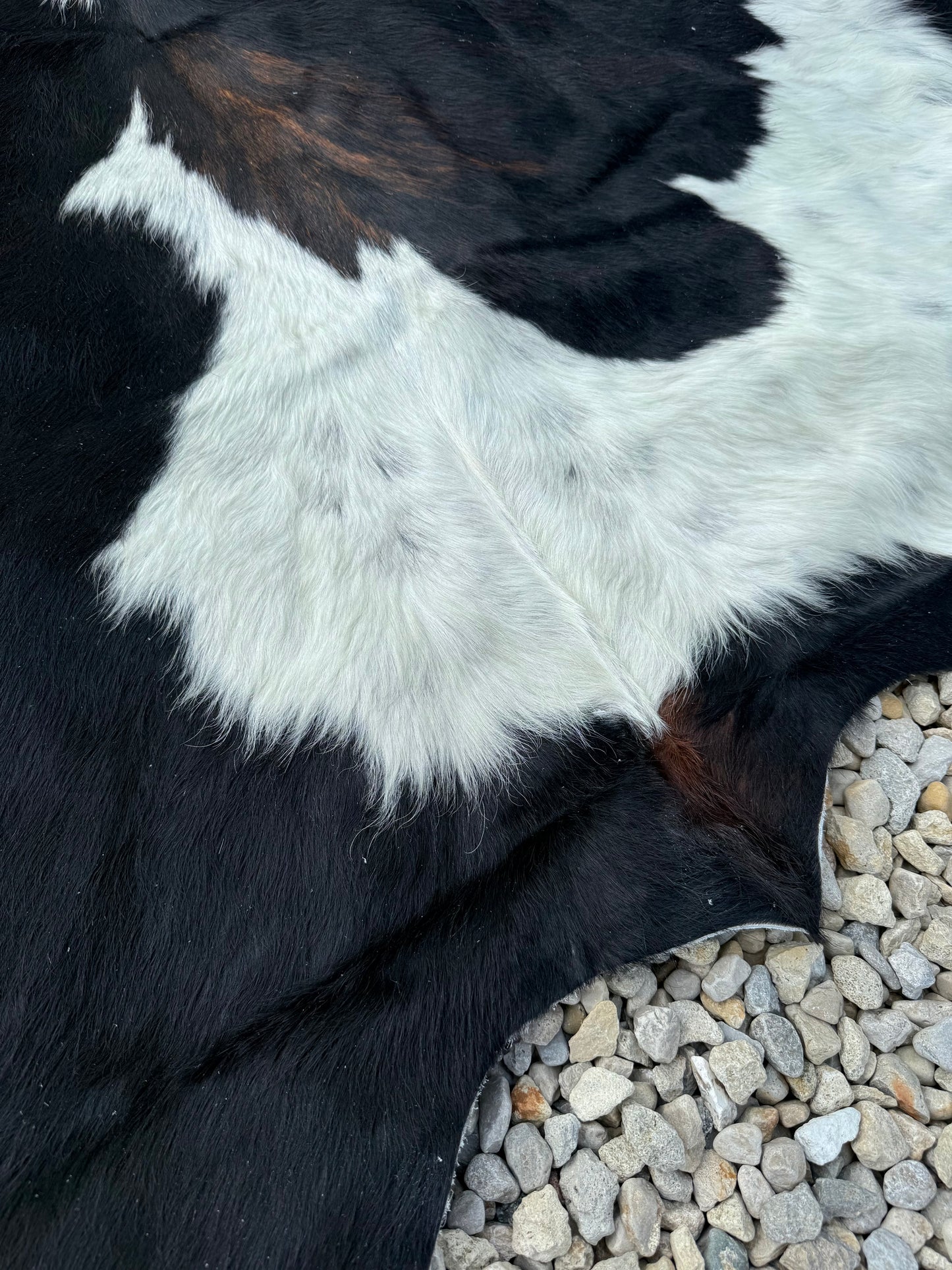 Jumbo Black White & Brown Spotted Genuine Cowhide Rug #17
