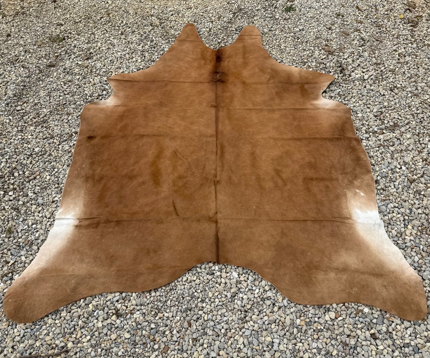 Light Brown Genuine Jumbo Cowhide Rug #30