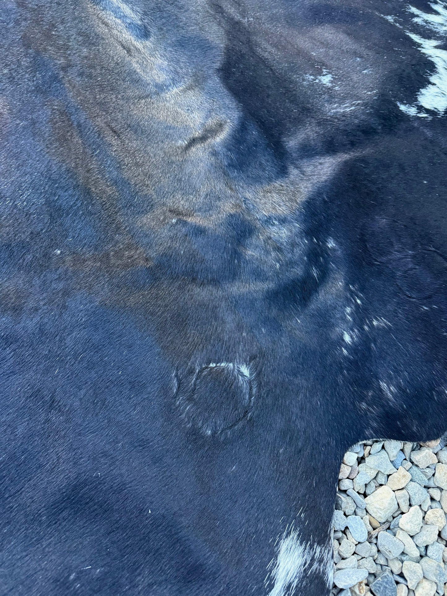 Jumbo Genuine Brown Cowhide Rug #11