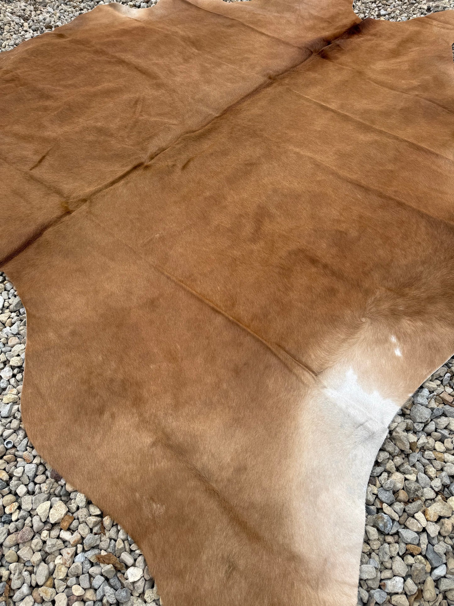 Light Brown Genuine Jumbo Cowhide Rug #30