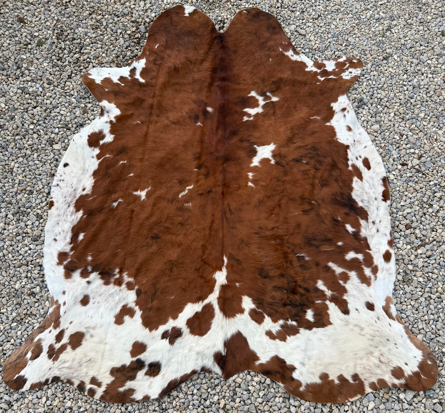 Jumbo Tri Color Brown Genuine Cowhide Rug #23