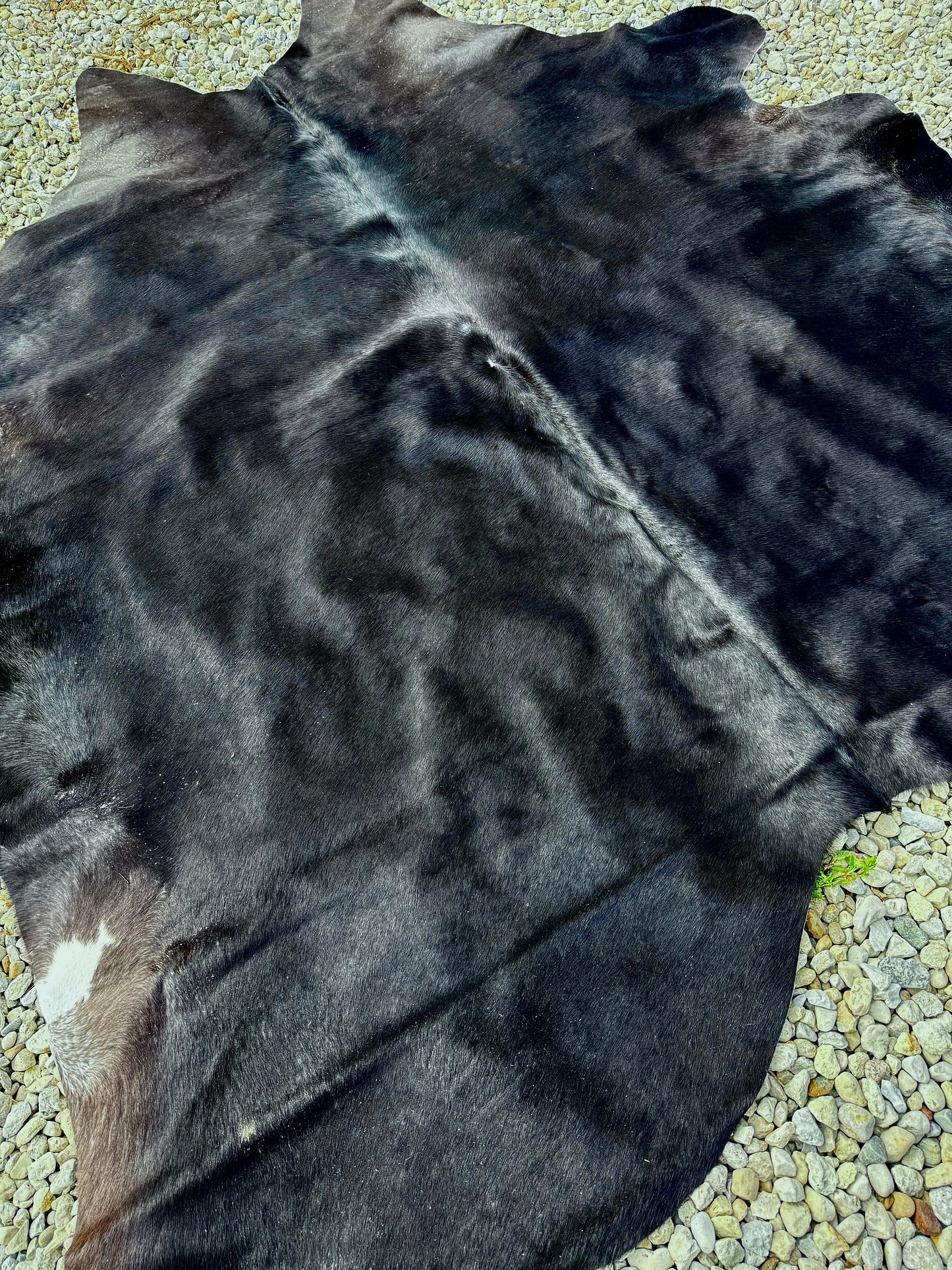 Jumbo Black Dark Brown Genuine Cowhide Rug #20