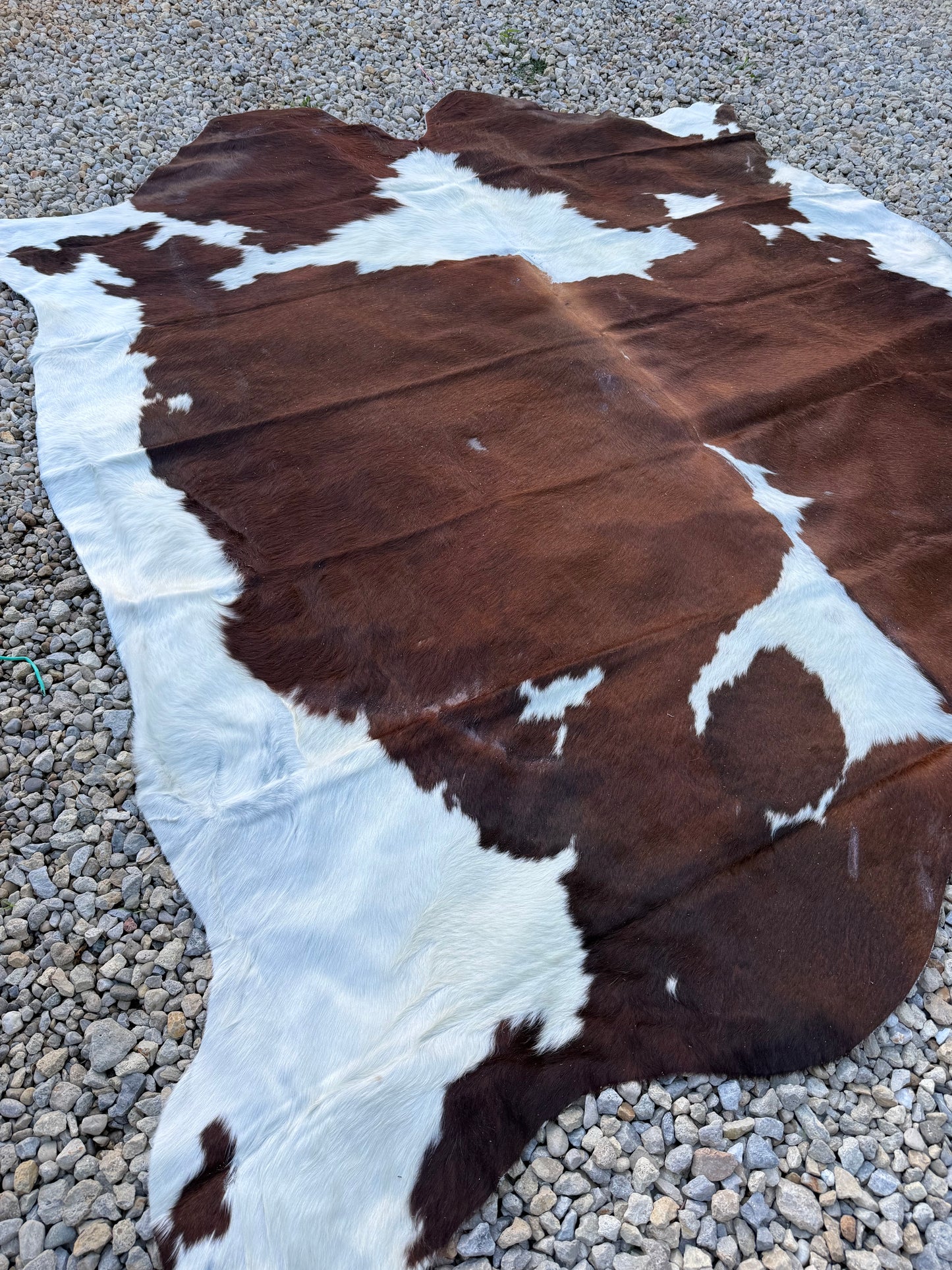 Jumbo Genuine Brown Cowhide Rug #10
