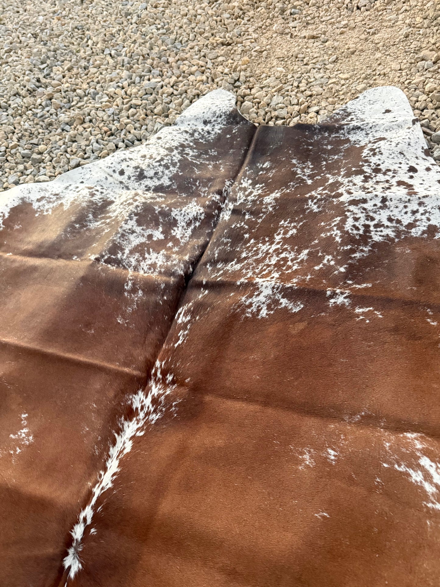Speckled Brown Genuine Jumbo Cowhide Rug #24
