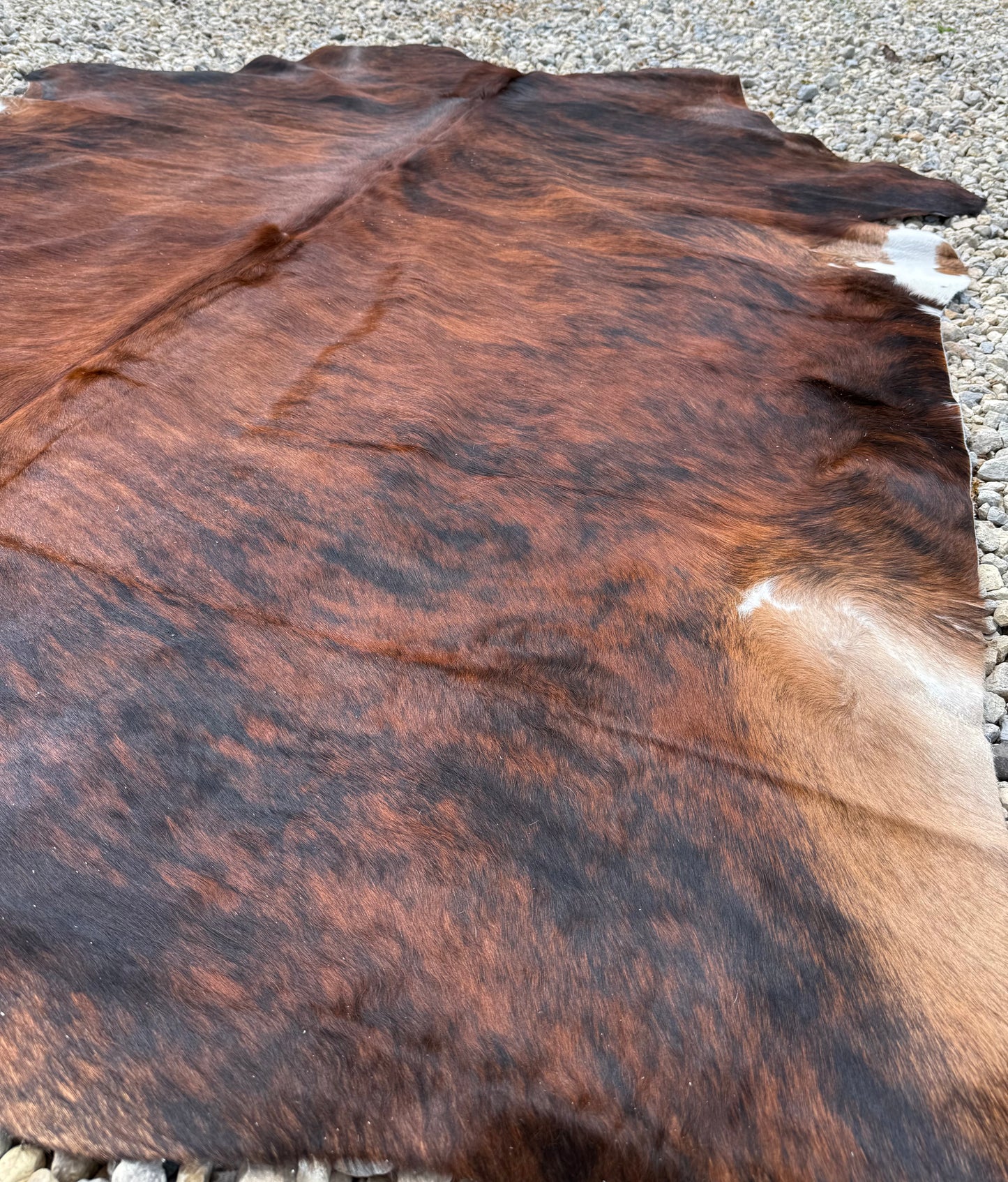 Jumbo Brown Brindle Genuine Cowhide Rug #18