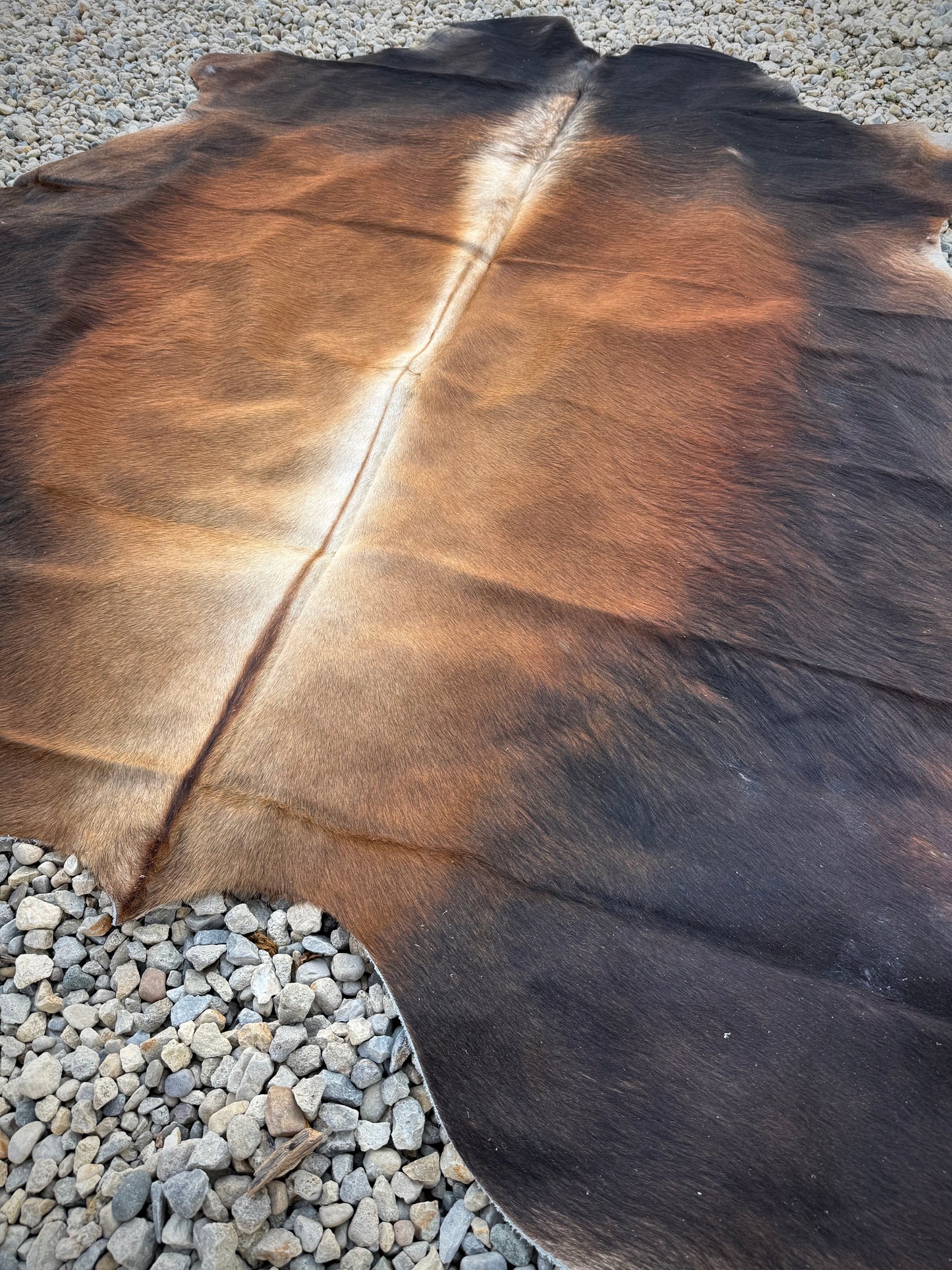 Jumbo Genuine Brown Cowhide Rug #7