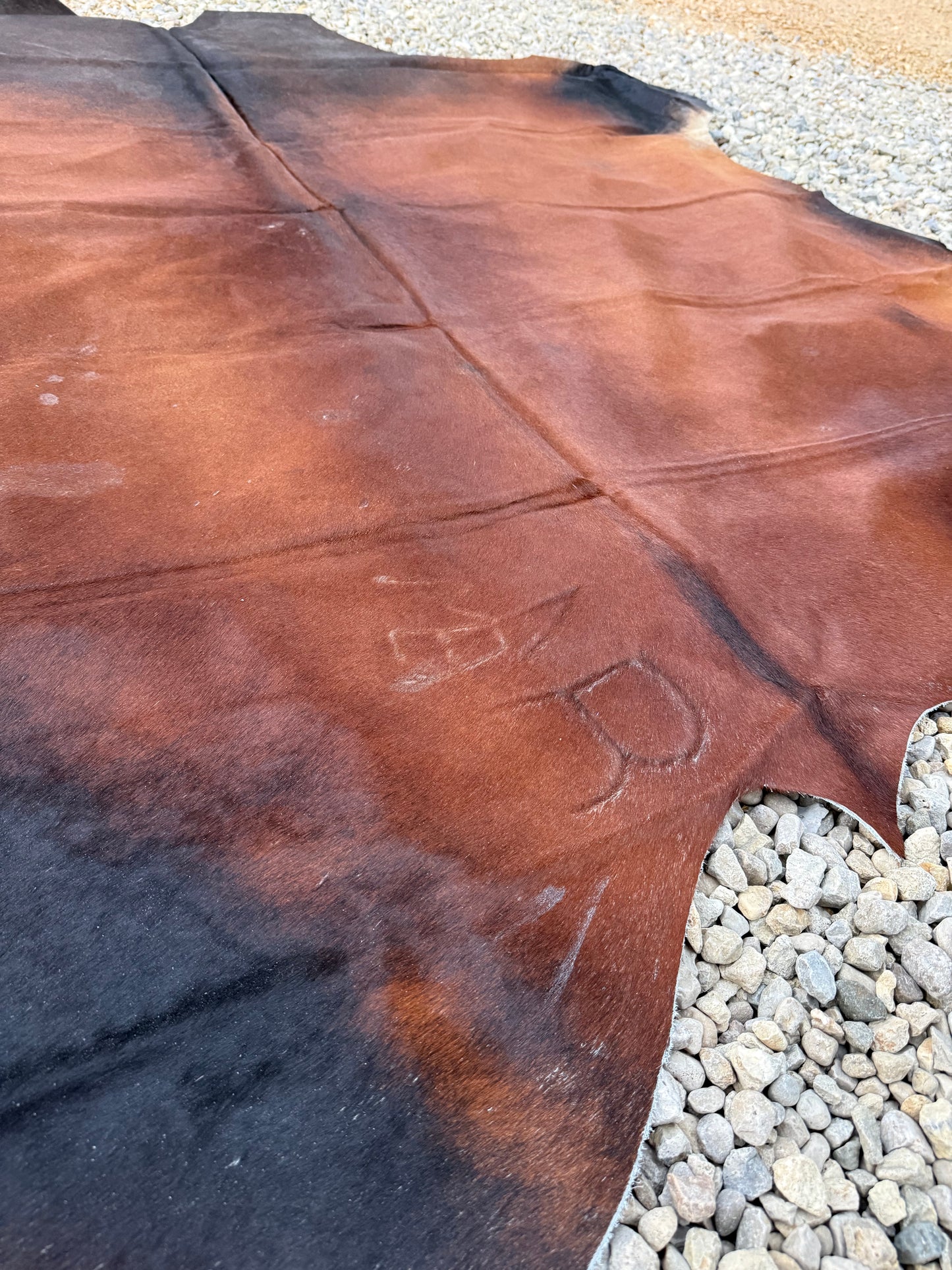 Jumbo Genuine Brown Cowhide Rug #3