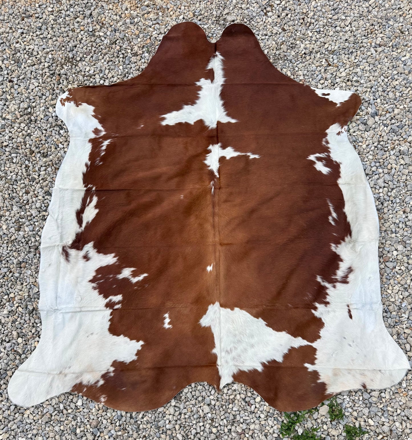 Jumbo Genuine Brown And White Cowhide Rug #2
