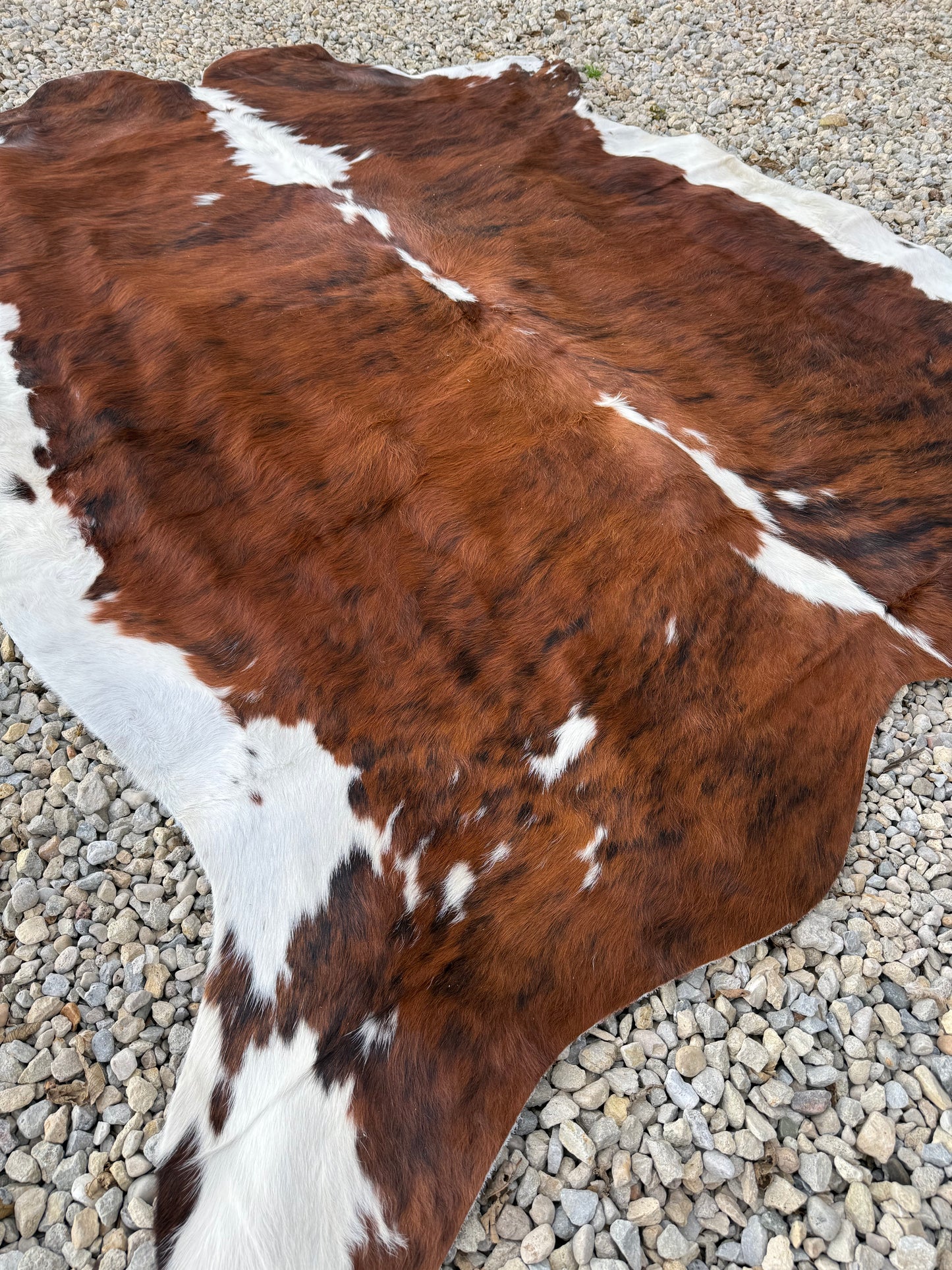 Brown Brindle Genuine Jumbo Cowhide Rug #26