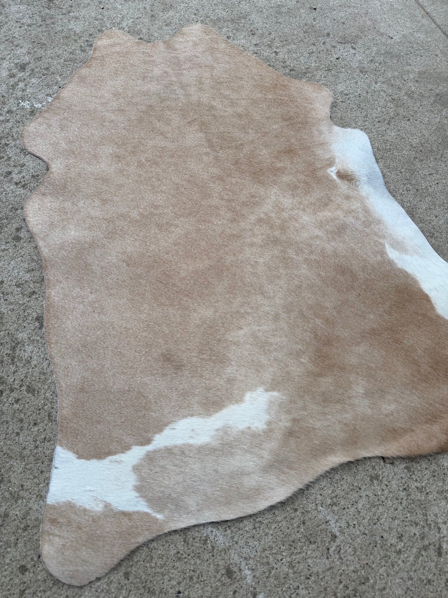 Light Brown Tan Genuine Cowhide Rug Approx. 3 ft