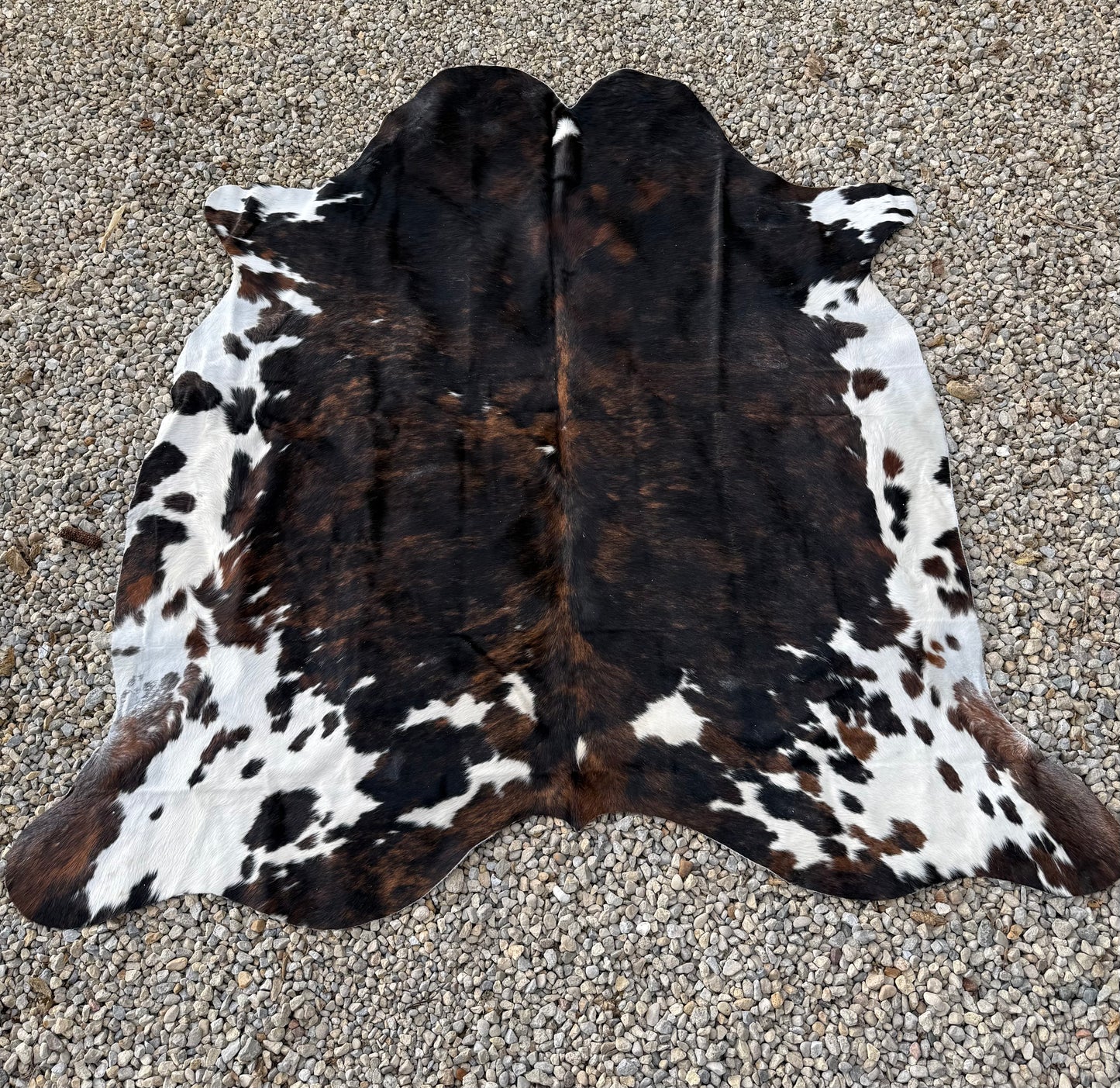 Tri- Color Brindle Genuine Jumbo Cowhide Rug #27