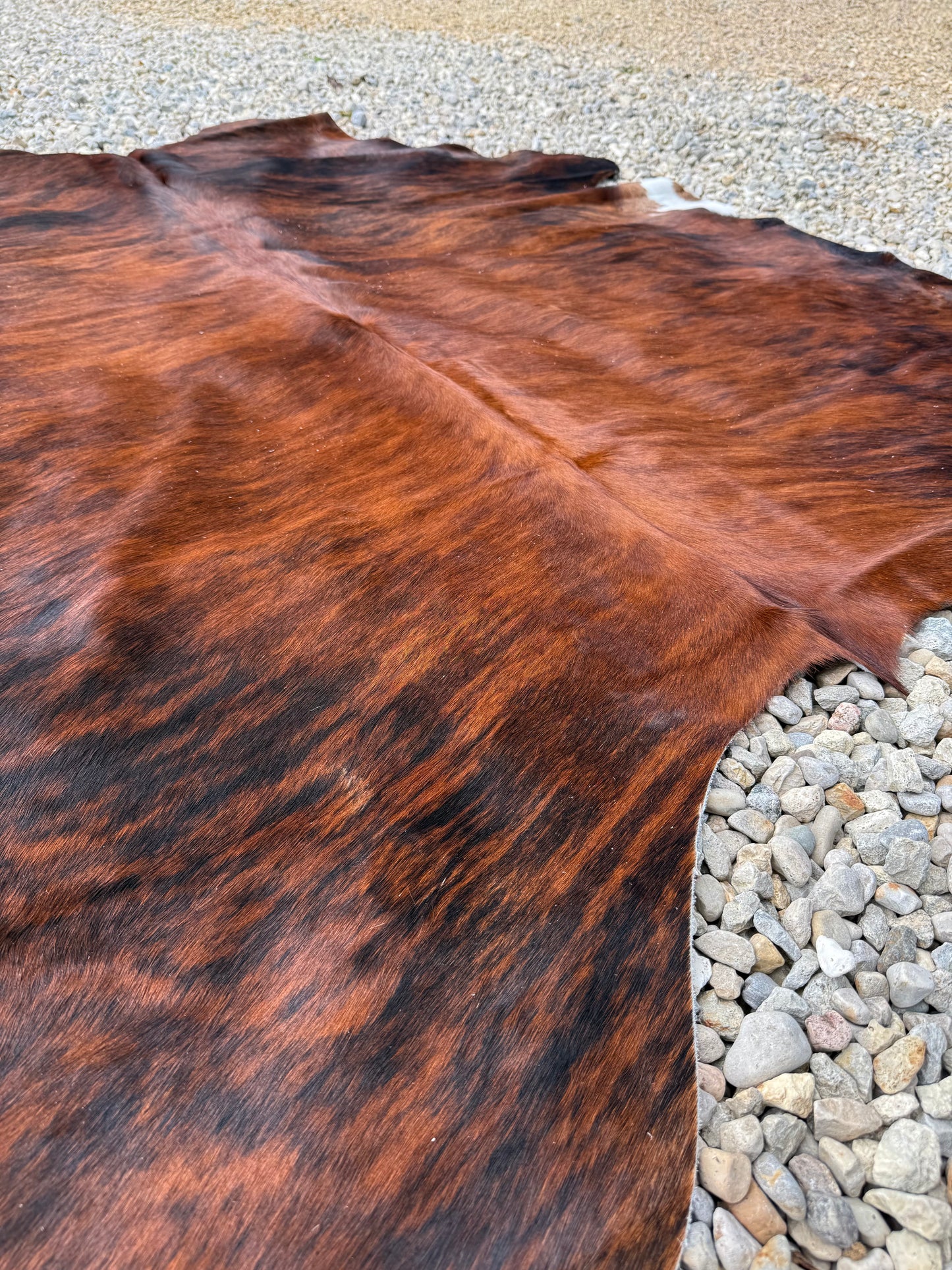 Jumbo Brown Brindle Genuine Cowhide Rug #18