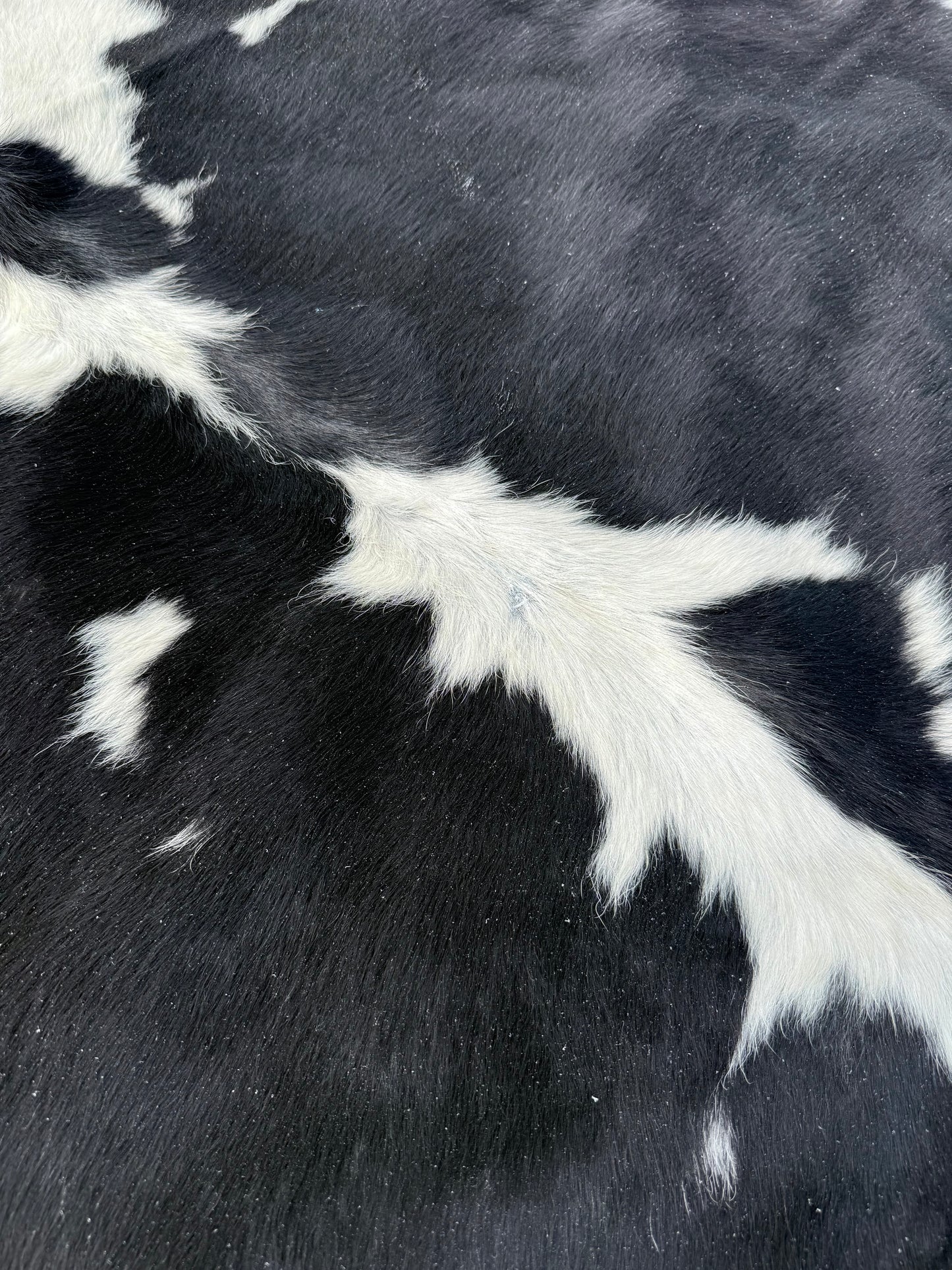 Jumbo Black & White Spotted Genuine Cowhide Rug #16
