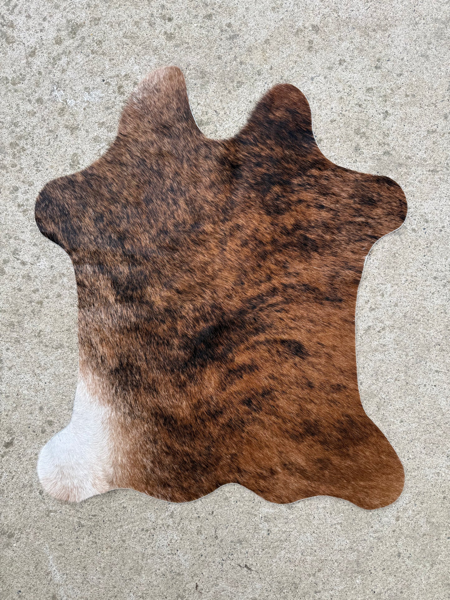 Brown Brindle Genuine Cowhide Rug Approx. 2 ft