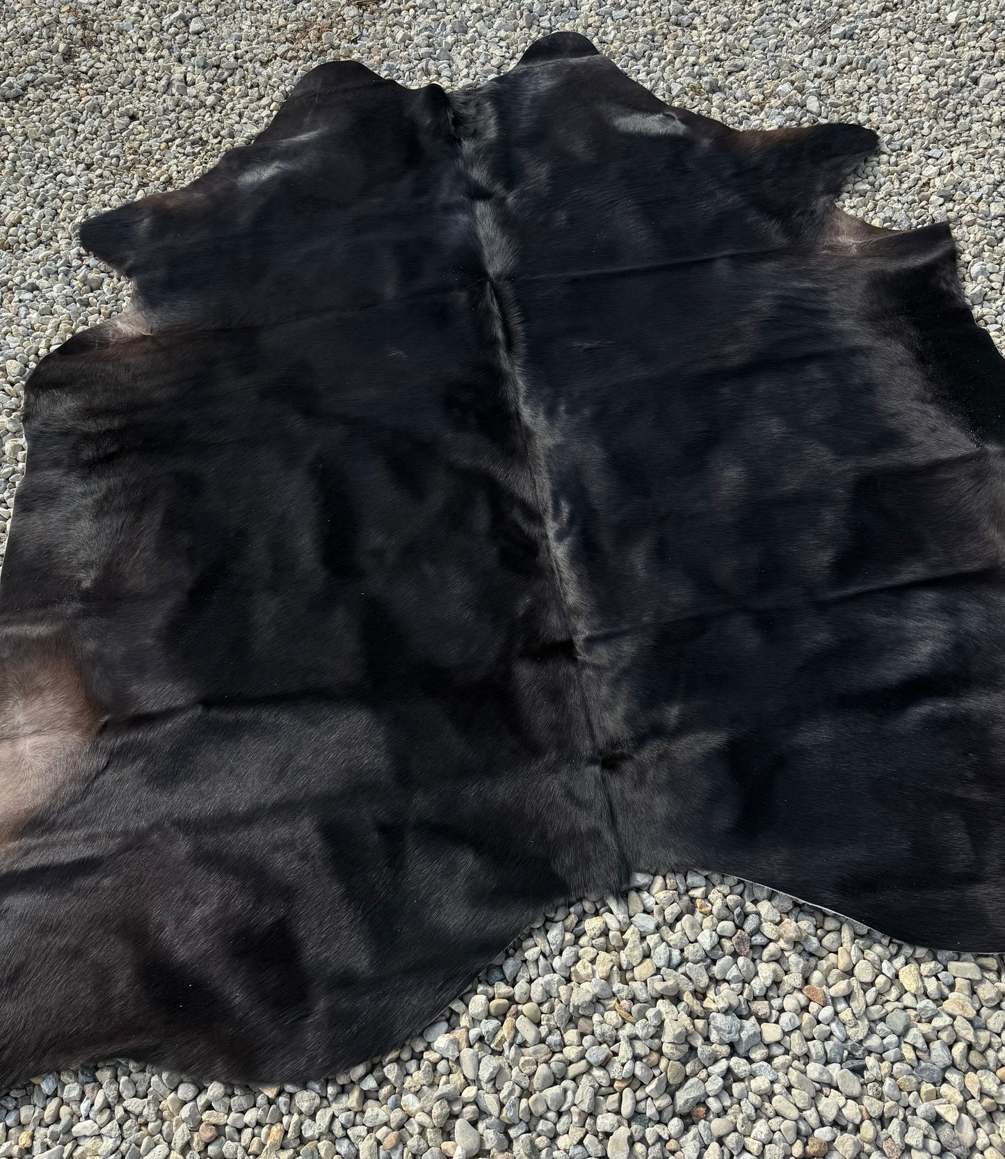 Jumbo Dark Black Brown Genuine Cowhide Rug #22