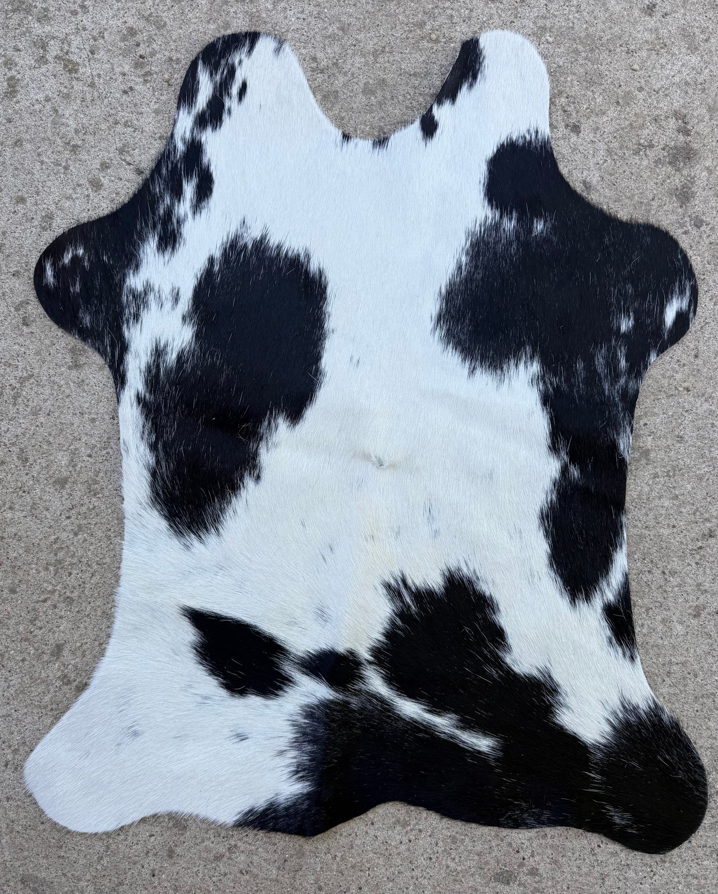 Small Black and White Cowhide