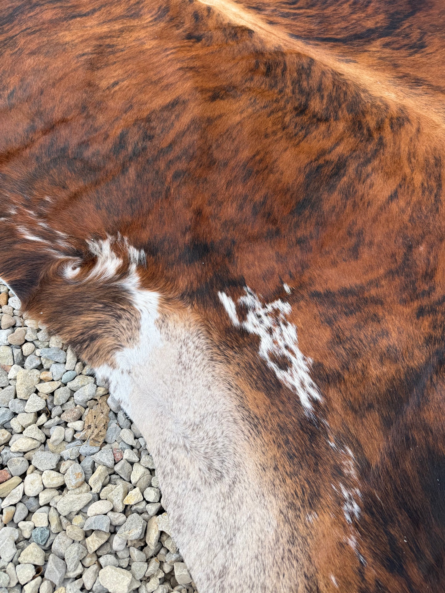 Tri-Color Spotted Genuine Jumbo Cowhide Rug #34