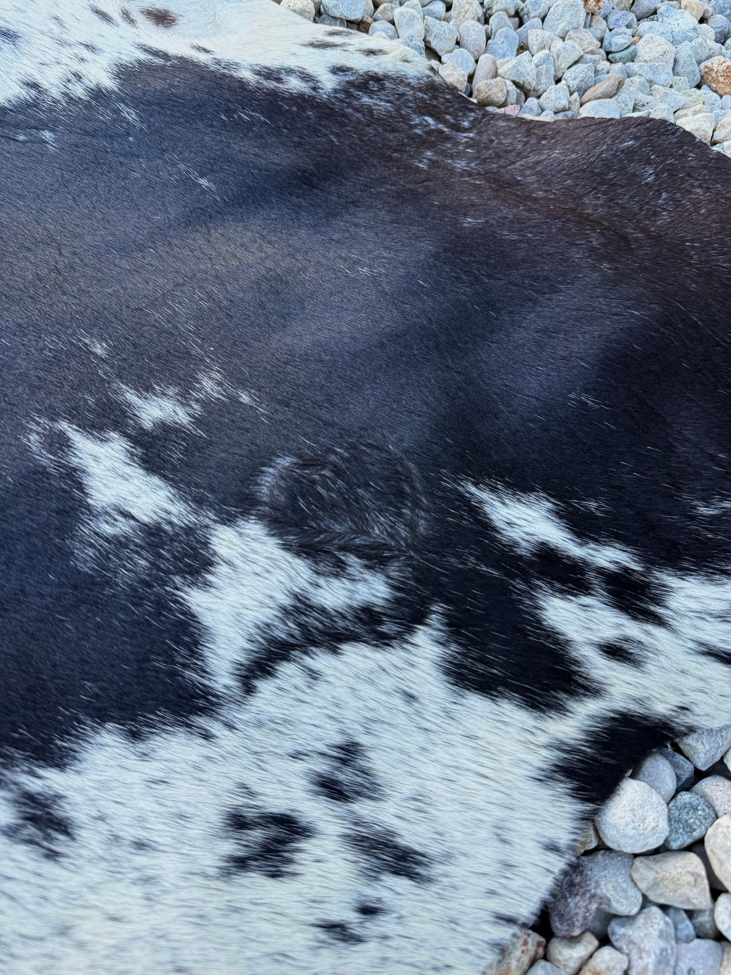 Jumbo Genuine Brown Cowhide Rug #11