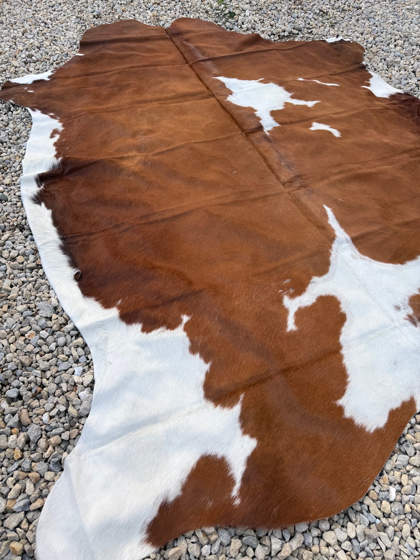 Jumbo Genuine Brown And White Cowhide Rug #10