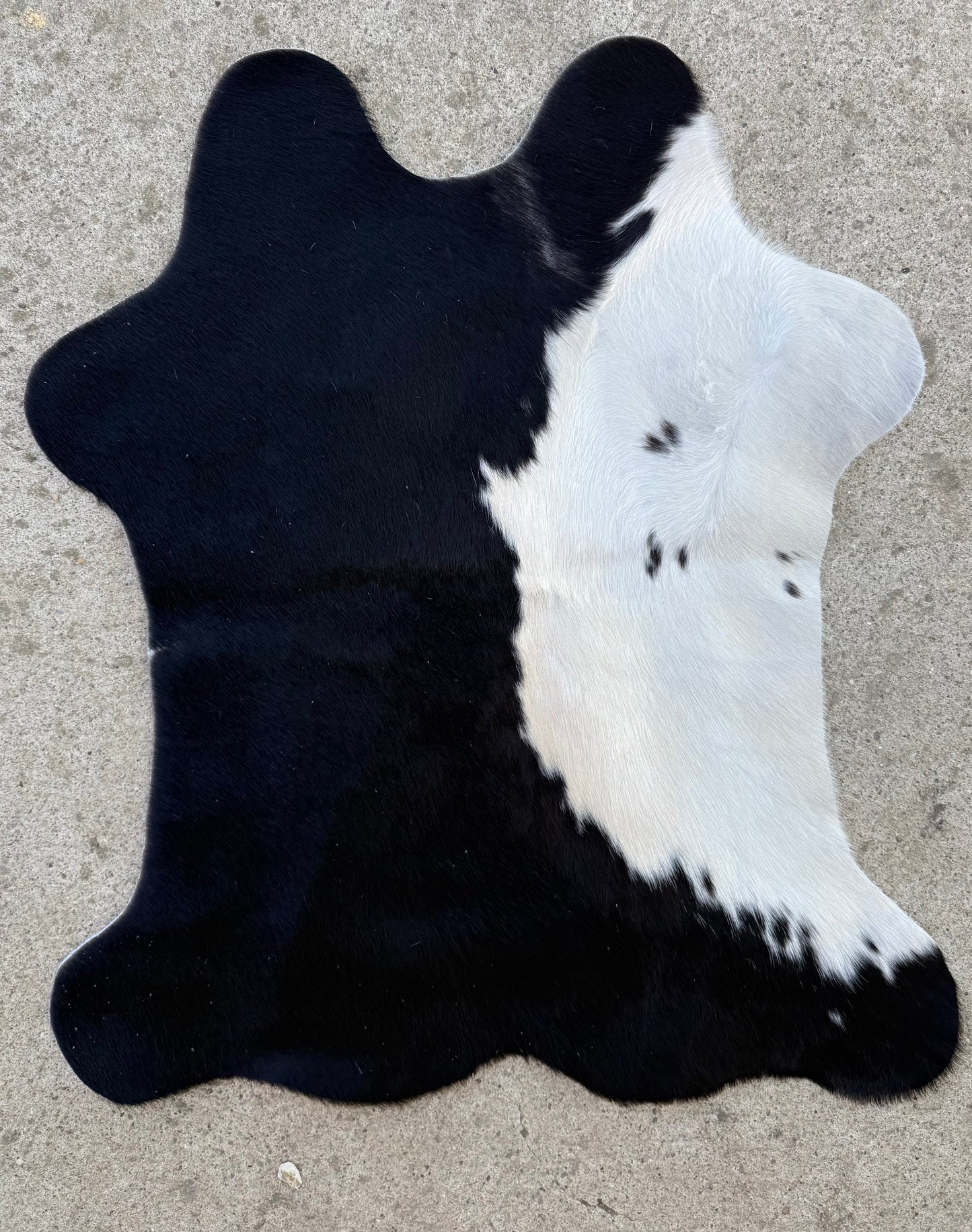 Small Black and White Cowhide