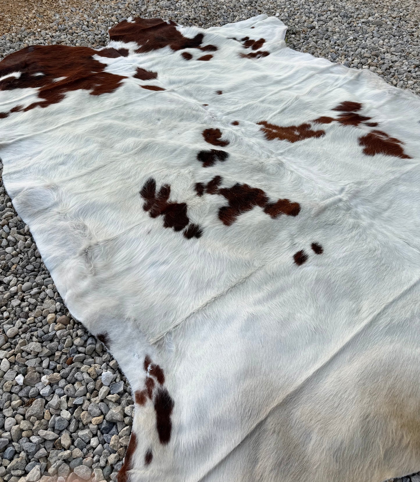 Jumbo Genuine Brown Cowhide Rug #6