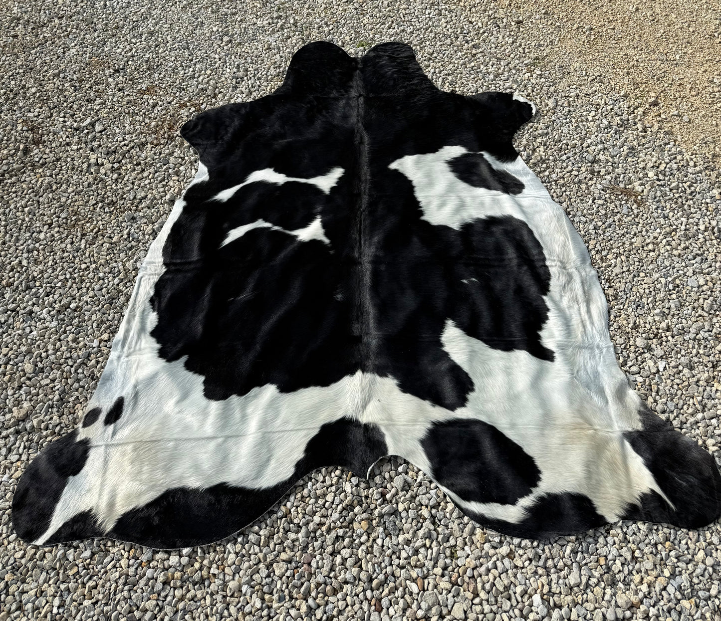 Jumbo Black & White Spotted Genuine Cowhide Rug #21
