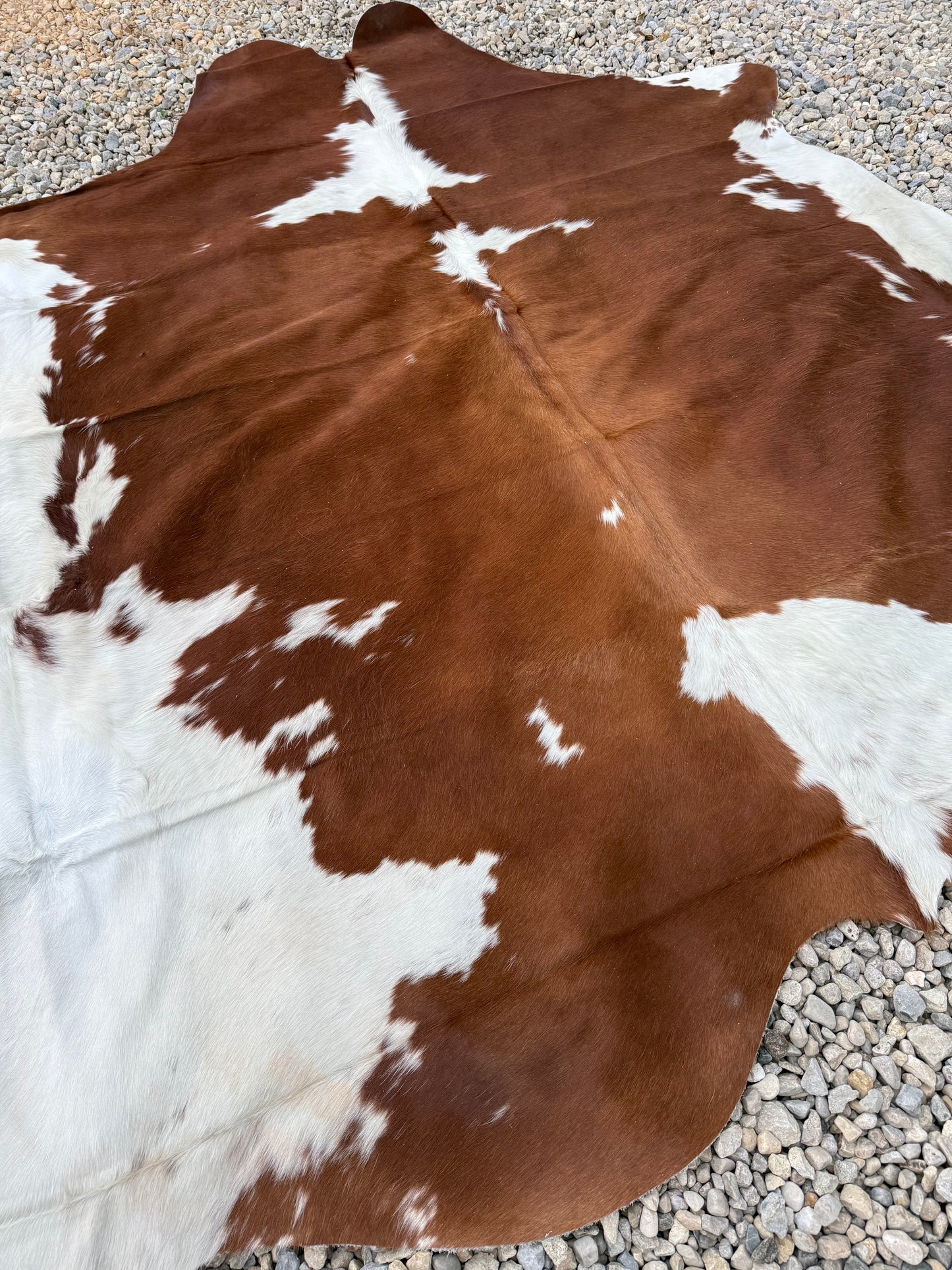 Jumbo Genuine Brown And White Cowhide Rug #2