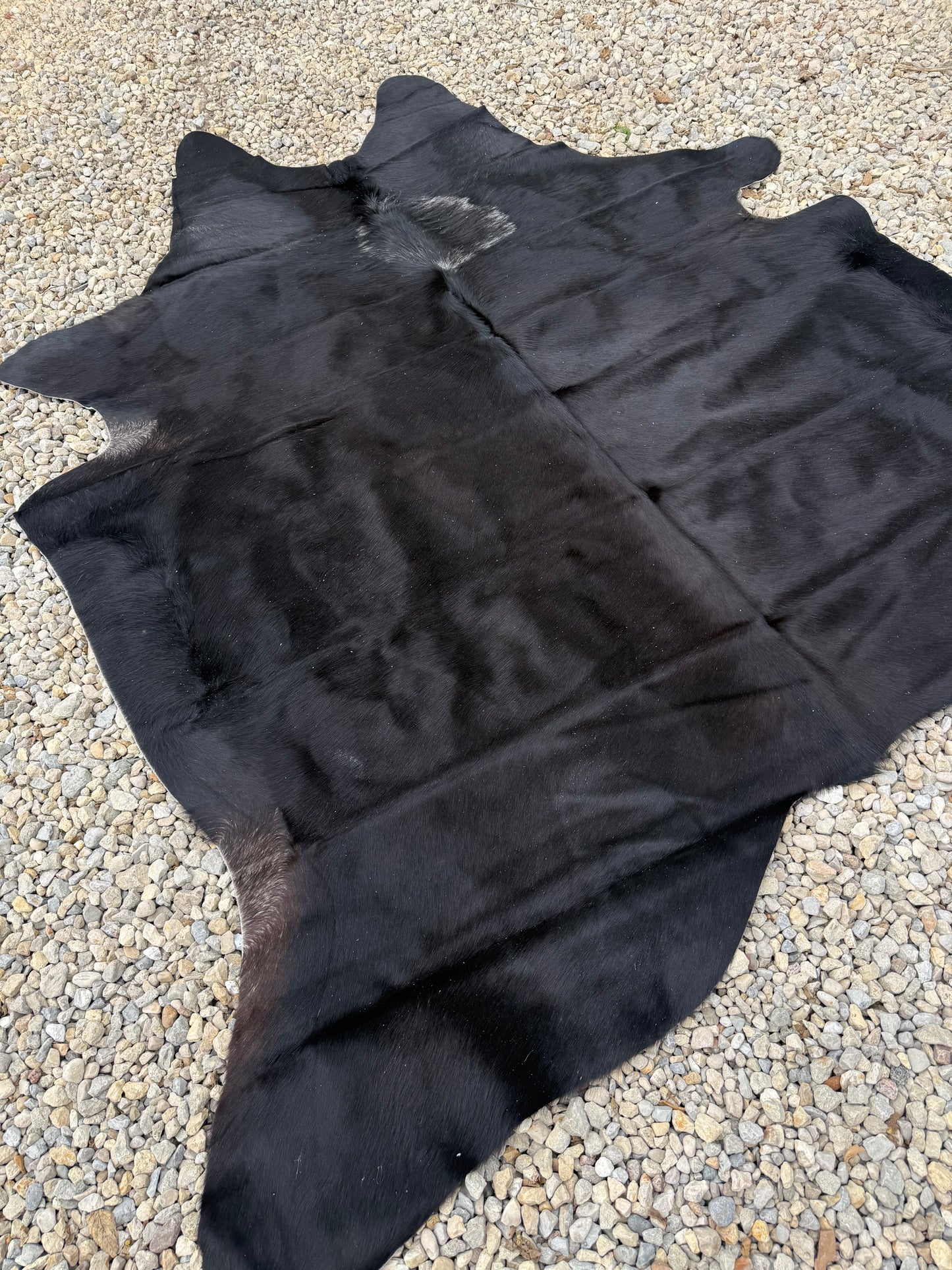 Black / Dark Brown With Spot Spot Genuine Jumbo Cowhide Rug #32