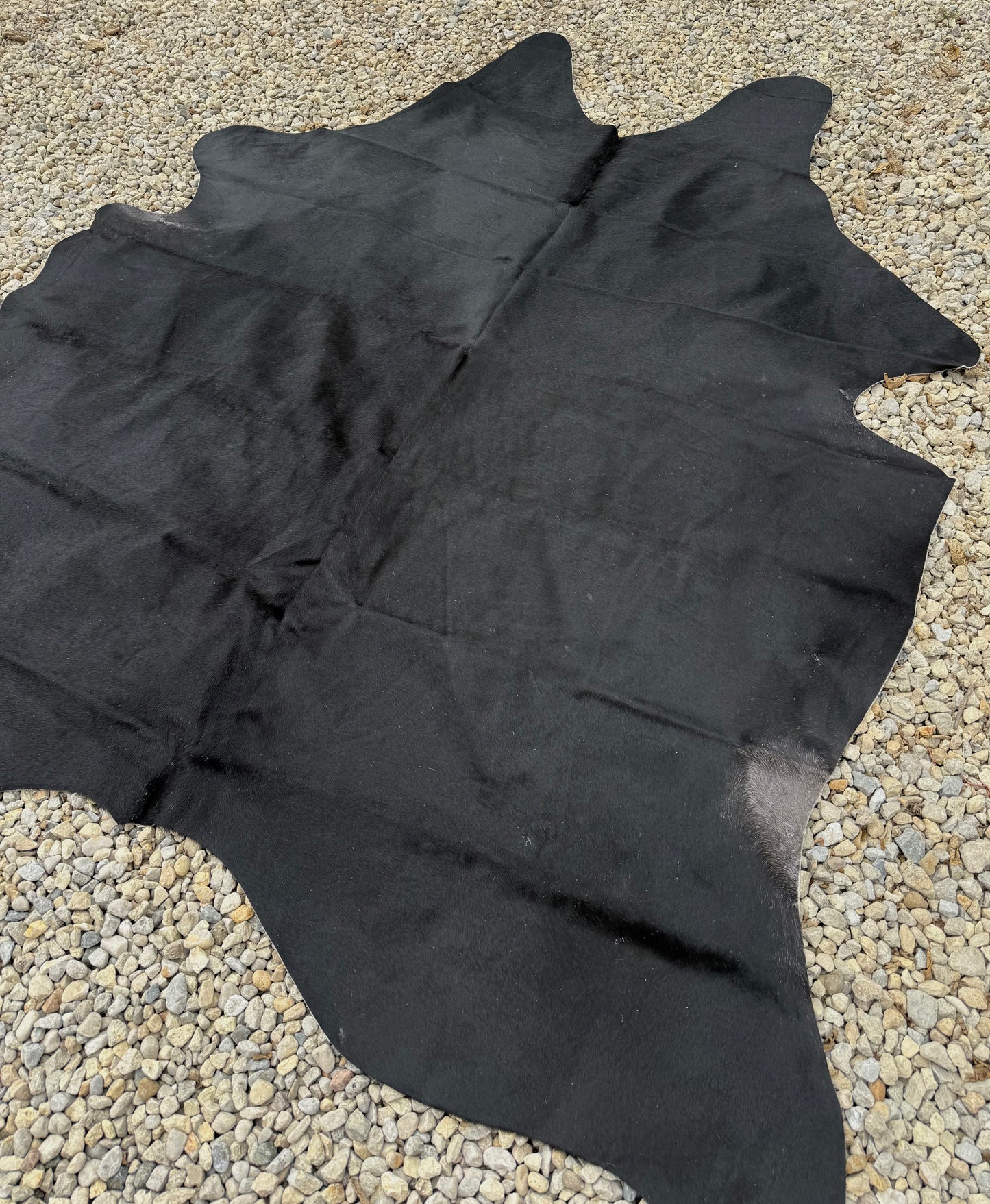 All Black Genuine Jumbo Cowhide Rug #31
