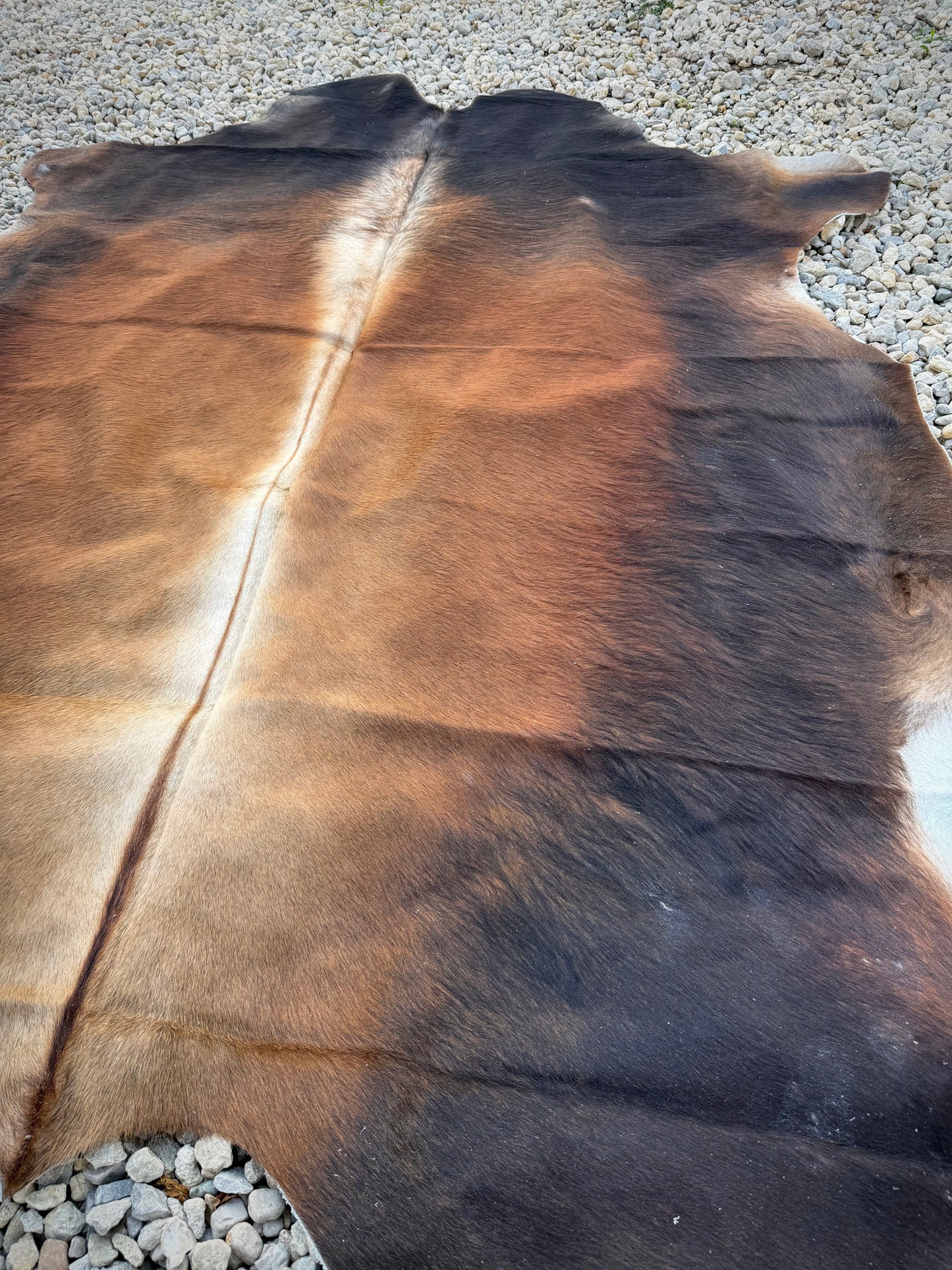 Jumbo Genuine Brown Cowhide Rug #7