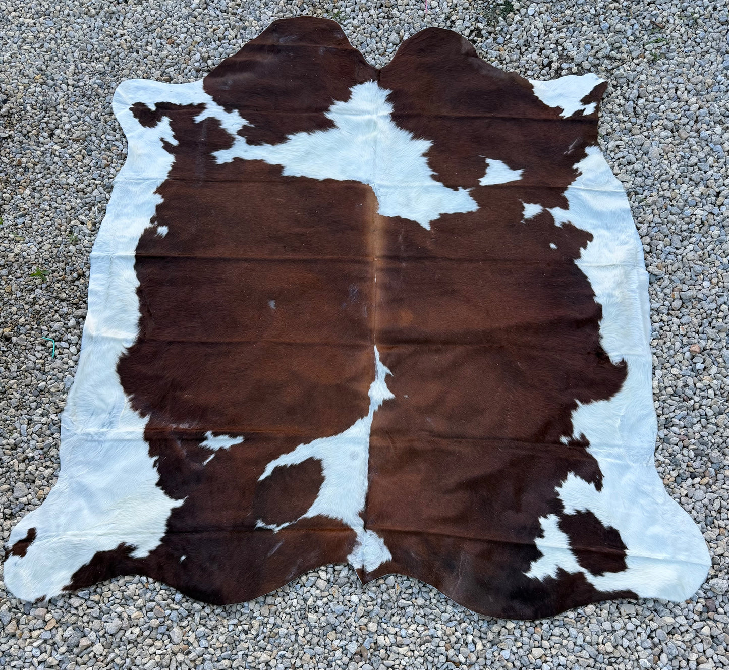 Jumbo Genuine Brown Cowhide Rug #10