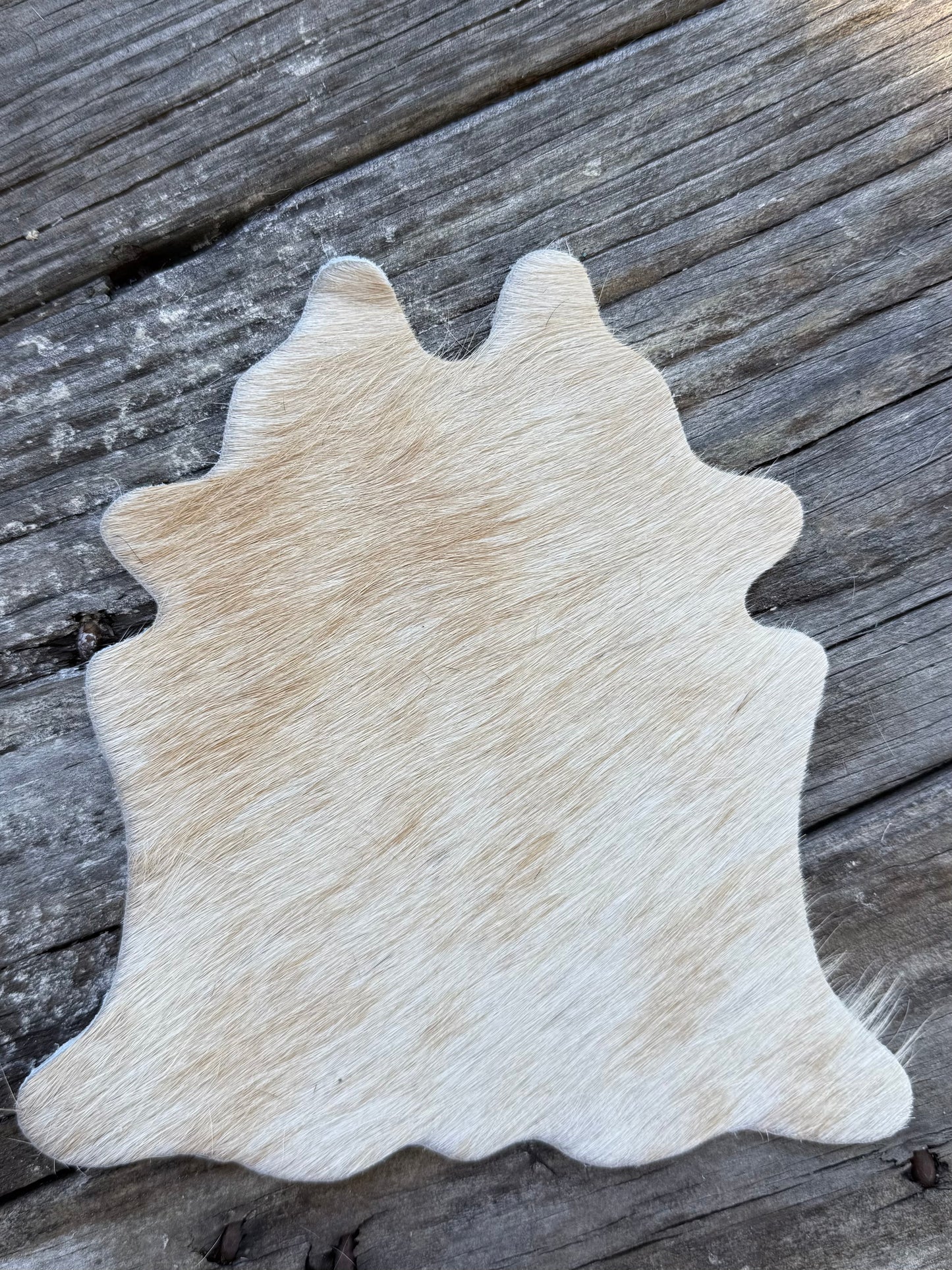 Super Mini Cowhide