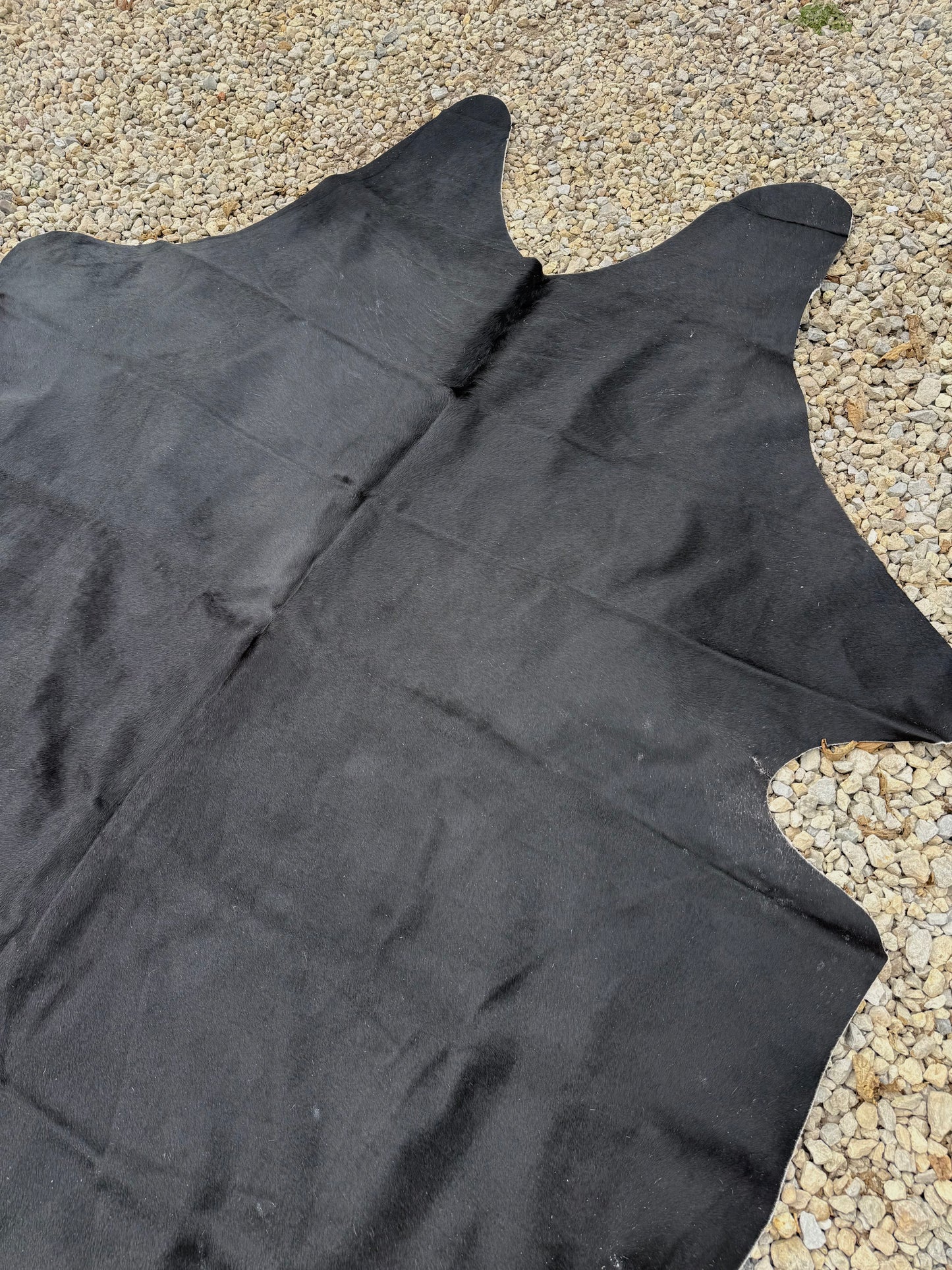 All Black Genuine Jumbo Cowhide Rug #31