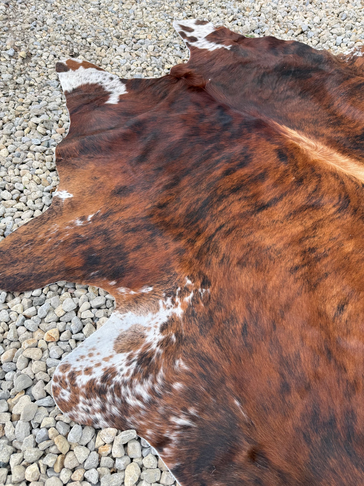 Tri-Color Spotted Genuine Jumbo Cowhide Rug #34