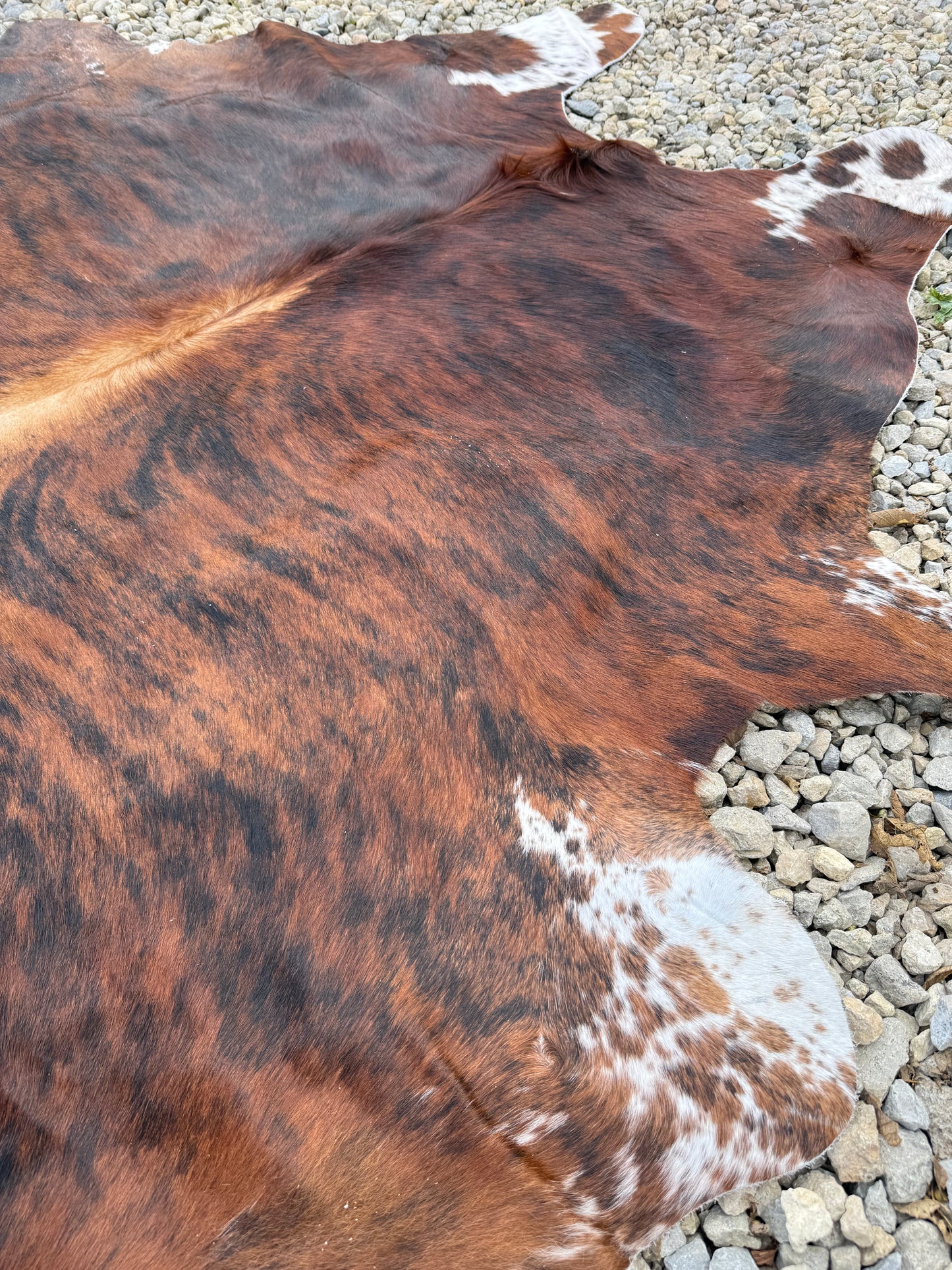 Tri-Color Spotted Genuine Jumbo Cowhide Rug #34