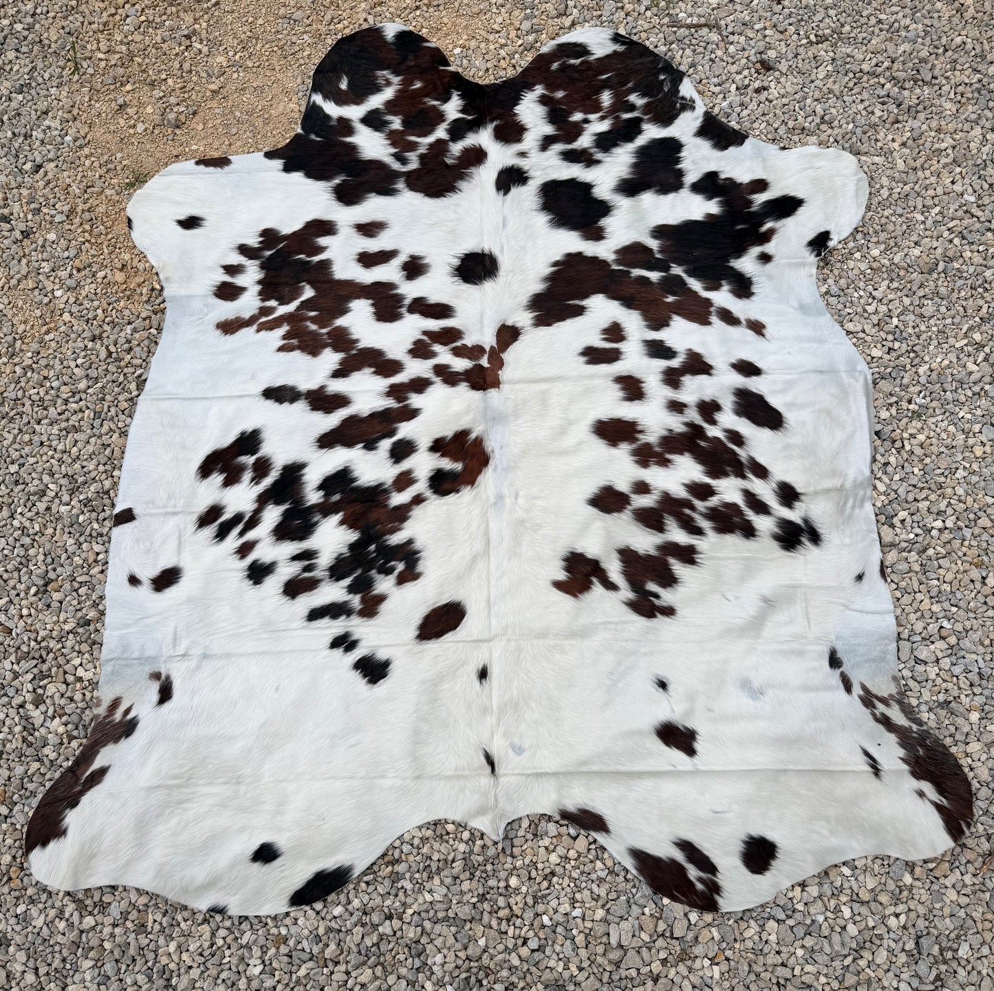 Jumbo Tri Color Spotted Genuine Cowhide Rug #13